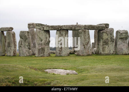 Stonehenge - Linteau sur cercle intérieur Pierres Banque D'Images