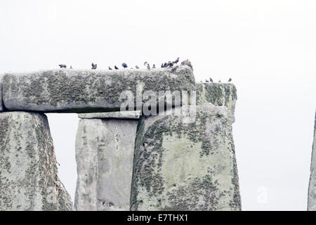 Stonehenge - Linteau sur cercle intérieur Pierres Banque D'Images