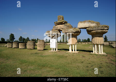 Italie, Basilicate, Metapontum (Metaponto), temple grec d'Héra (temple A), colonnes doriques (570-530 av. J.-C.) Banque D'Images