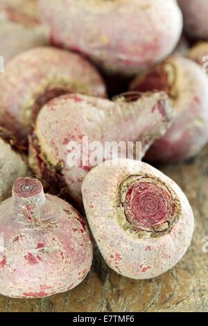 Betterave (Beta vulgaris). Banque D'Images