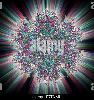 L'adénovirus penton, protéines de base le modèle moléculaire. Cette molécule de protéine est une sous-unité appelée penton, formant les sommets de la capside de cet adénovirus. Cette base de penton est un polymère composé de 523 acides aminés. Le penton fait partie de la structure de la capside Banque D'Images