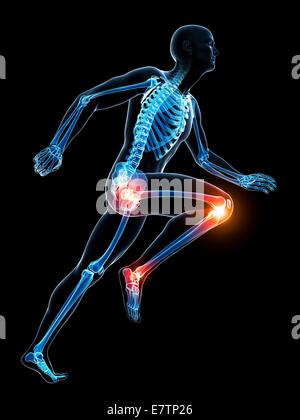 Les droits de l'anatomie d'une flexion des articulations, de l'art de l'ordinateur. Banque D'Images