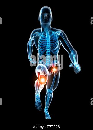 Les droits de l'anatomie d'une flexion des articulations, de l'art de l'ordinateur. Banque D'Images