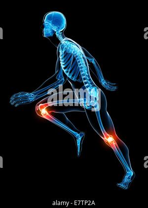 Les droits de l'anatomie d'une flexion des articulations, de l'art de l'ordinateur. Banque D'Images