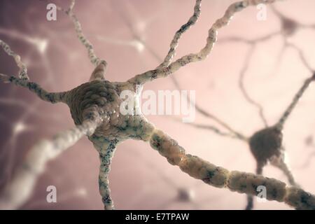 Réseau de cellules nerveuses, de l'oeuvre de l'ordinateur. Banque D'Images