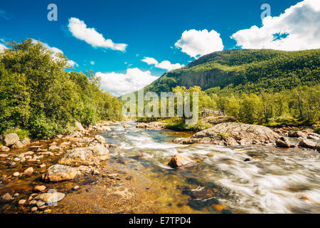 Rivière Nature de la Norvège. Jour d'été ensoleillé avec vue sur la montagne, paysage, eau froide Pure rivière, étang Banque D'Images