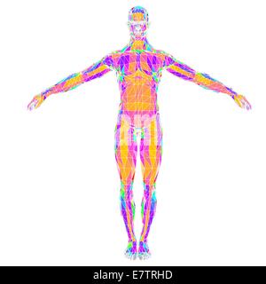 Abstrait géométrique modèle polygonal d'un homme, l'oeuvre de l'ordinateur. Banque D'Images