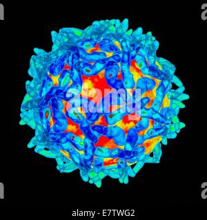 Le virus de la fièvre jaune, l'oeuvre de l'ordinateur. Banque D'Images