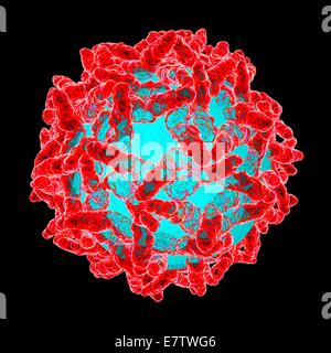 Le virus de la fièvre jaune, l'oeuvre de l'ordinateur. Banque D'Images