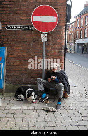 Un homme musicien ambulant jouant sur un coin de rue à Ludlow accompagné de son fidèle chien Shropshire en Angleterre Banque D'Images