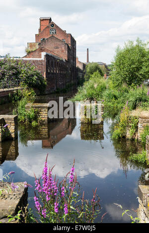 Kelham Island Trimestre à Sheffield une fois une partie industrielle de la ville désormais régénérées à l'appartements moderne, tendance et appartements Banque D'Images