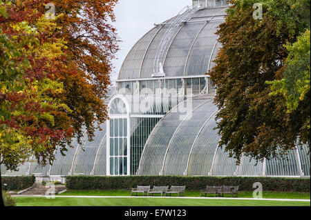 Royal Botanic Gardens, Kew, Londres, Royaume-Uni. Le Palm House en fer forgé et en verre, construit par Decimus Burton dans les années 1840 Banque D'Images