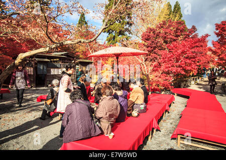 Kyoto, Japon - 26 novembre 2013 : Couleurs d'automne au Temple Eikando, Kyoto, Japon, Kansai Banque D'Images