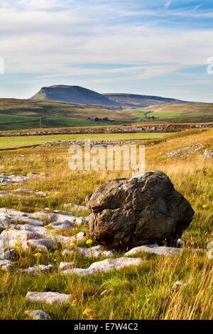 Pen Y Gand de pierres près de régler Ribblesdale Winskill Yorkshire Dales England Banque D'Images