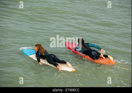 Deux surfeurs à combinaisons portant à plat sur leurs planches de surf dans la mer, paddling out vers les vagues Banque D'Images
