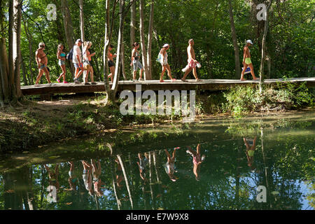 Marche à travers le Parc National de Krka, Dalmatie, Croatie Banque D'Images