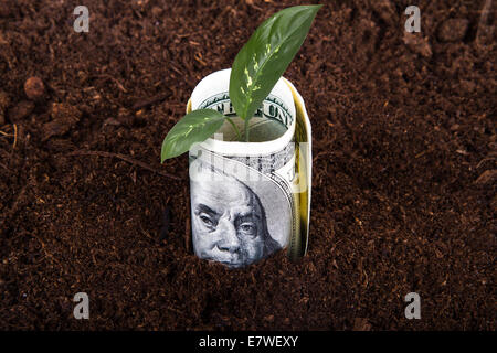 Une centaine de dollars de plus en plus d'argent dans le sol avec des feuilles de plantes vertes. Banque D'Images