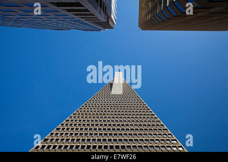 Transamerica Pyramid Building, le centre-ville de San Francisco, Californie, USA Banque D'Images