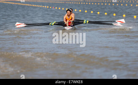 Incheon, Corée du Sud. 25 Septembre, 2014. Les athlètes de la Chine au cours de la concurrence quatre de couple masculin poids léger de l'aviron final à la 17e Jeux asiatiques à Chungju, Corée du Sud, 25 septembre 2014. La Chine a remporté la médaille d'or. © Xinhua/Alamy Live News Banque D'Images