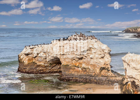 Natural Bridges State Park, Santa Cruz, Californie. Banque D'Images