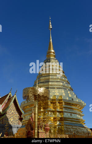 Chedi doré au Wat Phra That Doi Suthep Temple, Chiang Mai, Thaïlande du Nord, Thaïlande Banque D'Images