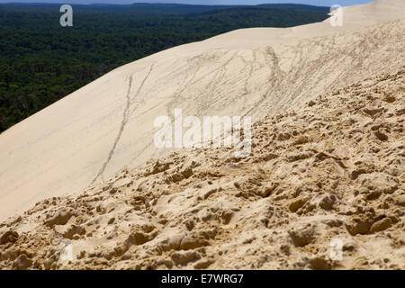 Les personnes qui désirent visiter la célèbre Dune du Pyla, à Pyla sur Mer, France. Banque D'Images