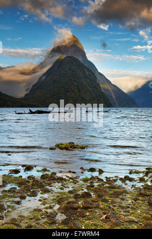 Mitre Peak au lever du soleil, Fiord Milford Sound, Nouvelle Zélande Banque D'Images