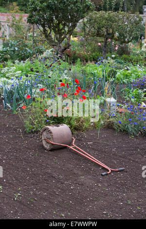 Rouleau métallique sur un potager Banque D'Images