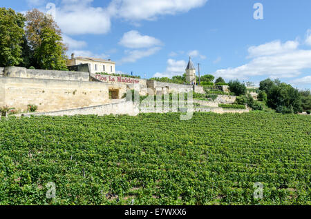 Clos La Madeleine sur le haut des collines de St Emilion à Bordeaux, France Banque D'Images