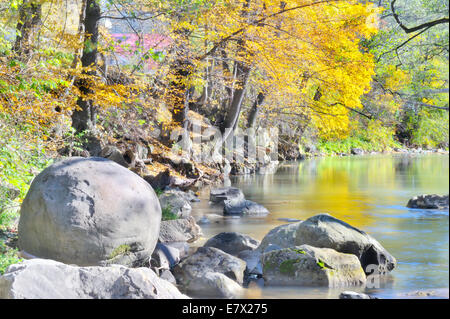 Paysage d'automne avec de l'eau et de grosses pierres en forêt Banque D'Images