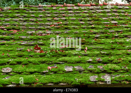 Ancienne ferme de toit en Roumanie, couvert de mousse verte à partir de la forêt. Banque D'Images