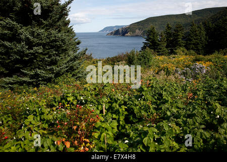 Meat Cove, l'île du Cap-Breton, Nouvelle-Écosse, Canada Banque D'Images