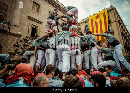 Barcelone, Espagne. Sep 24, 2014. La "Castellers de Sants' construire une tour humaine au cours de la ville festival 'La Merce 2014' en face de l'hôtel de ville de Barcelone : Crédit matthi/Alamy Live News Banque D'Images