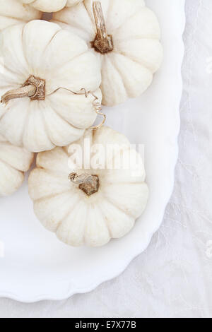 Belles décorations de table blanc de citrouilles. Banque D'Images