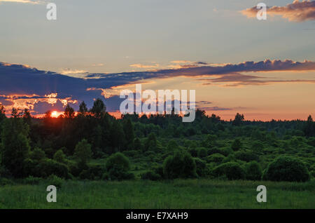 Coucher de soleil sur le soir, ciel nuageux et vert forêt. Banque D'Images