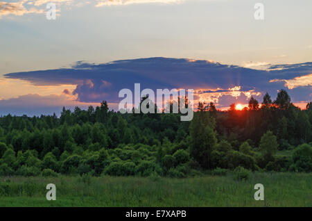 Coucher de soleil sur le soir, ciel nuageux et vert forêt. Banque D'Images