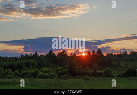 Coucher de soleil sur le soir, ciel nuageux et vert forêt. Banque D'Images