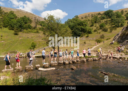 Dovedale Derbyshire, Angleterre, Stepping Stones Banque D'Images
