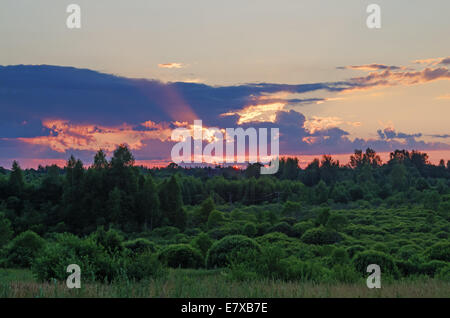 Coucher de soleil sur le soir, ciel nuageux et vert forêt. Banque D'Images