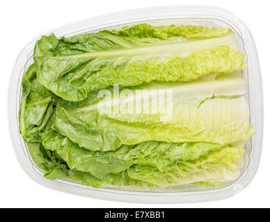 Les feuilles du cœur de laitue romaine emballés dans un contenant en plastique isolated on white Banque D'Images