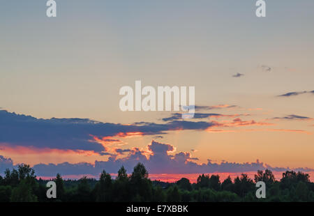 Coucher de soleil sur le soir, ciel nuageux et vert forêt. Banque D'Images