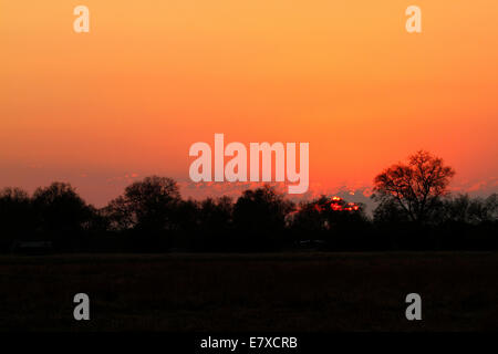 Botswana safari privé seulement le meilleur ! Lever de soleil spectaculaire sur safari tôt le matin, les arbres sombres comme le soleil se moque la tête Banque D'Images