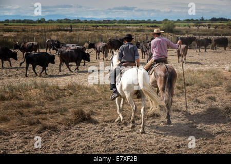 Deux gardiens français sur le cheval Camargue, France Banque D'Images