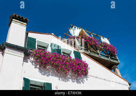 Façade de maison avec un balcon plein de fleurs à Torcello, Venise, Italie Banque D'Images