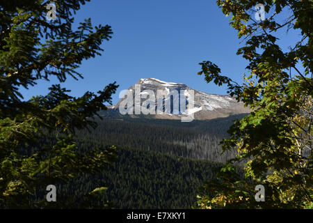 Vue d'aller vers la route de Sun dans le Glacier National Park, Montana. Banque D'Images