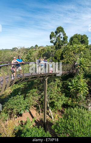 Visiteurs sur le Centenaire Tree Canopy Walkway Jardin botanique de Kirstenbosch, Cape Town, Afrique du Sud Banque D'Images