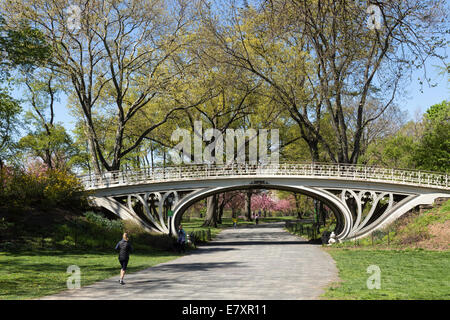 Runner près de pont gothique dans Central Park, NYC Banque D'Images