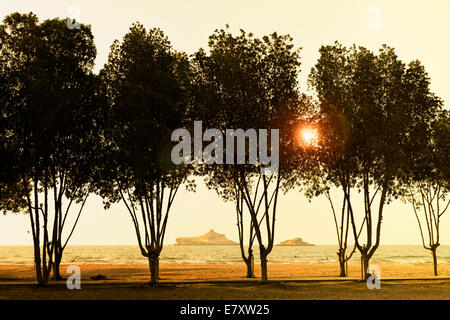 Arbres au bord de la mer au coucher du soleil, les îles Maqbarah, Al Sawadi Beach Hotel et Spa, Al-Batinah province, Oman, Péninsule Arabique Banque D'Images