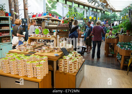 Intérieur de l'Eden Project (boutique de cadeaux éthiques, plante et boutique de souvenirs) à l'Eden Project. Bodelva Saint Austell Cornwall UK Banque D'Images