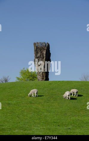 Trois ovins paissent sous ciel bleu profond au pied du 'bol en bronze avec dentelle' par Ursula von Rydingsvard - Yorkshire Sculpture Park, Angleterre, Royaume-Uni. Banque D'Images